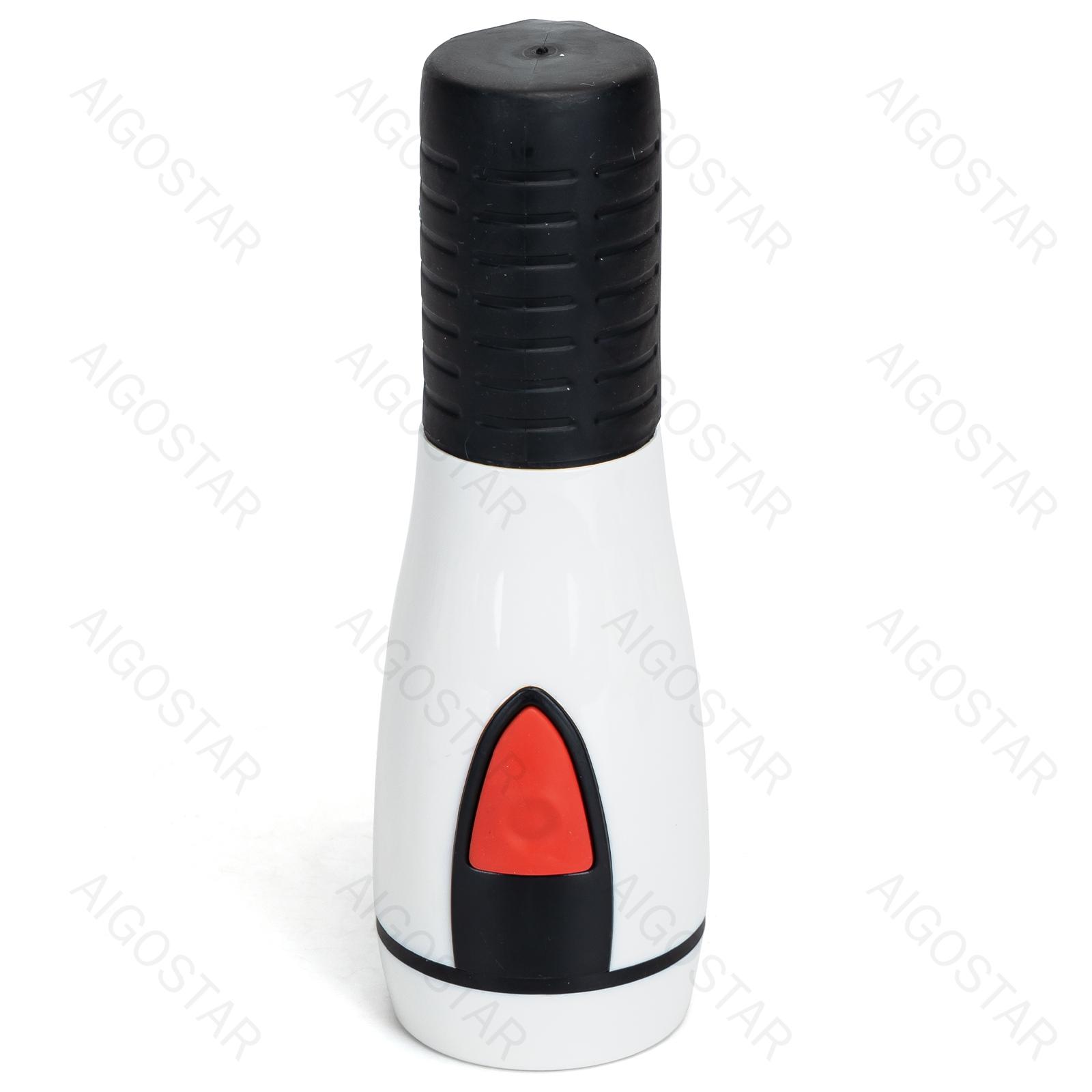 LED Torch 2*D