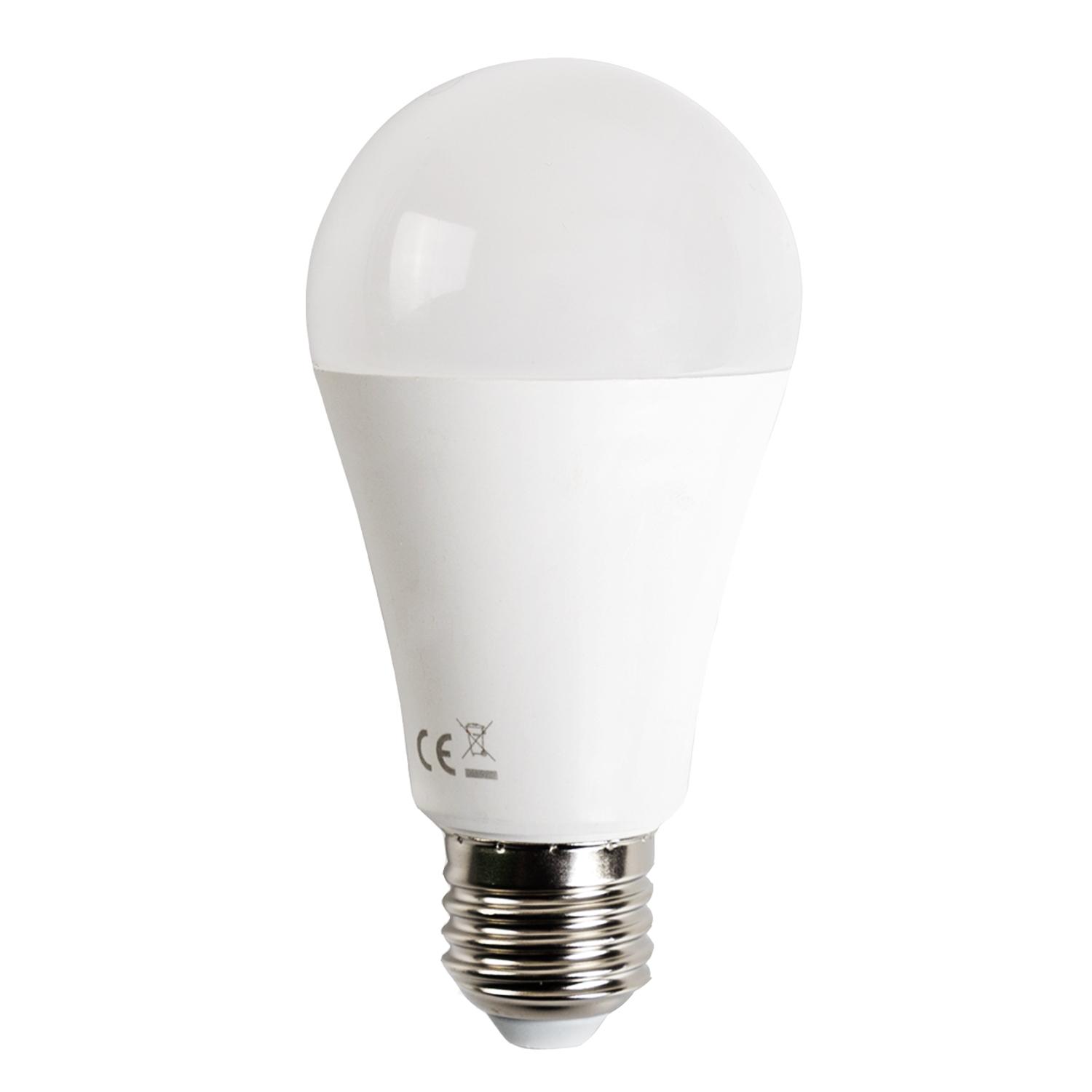 E27 19W A60 ( general bulb )