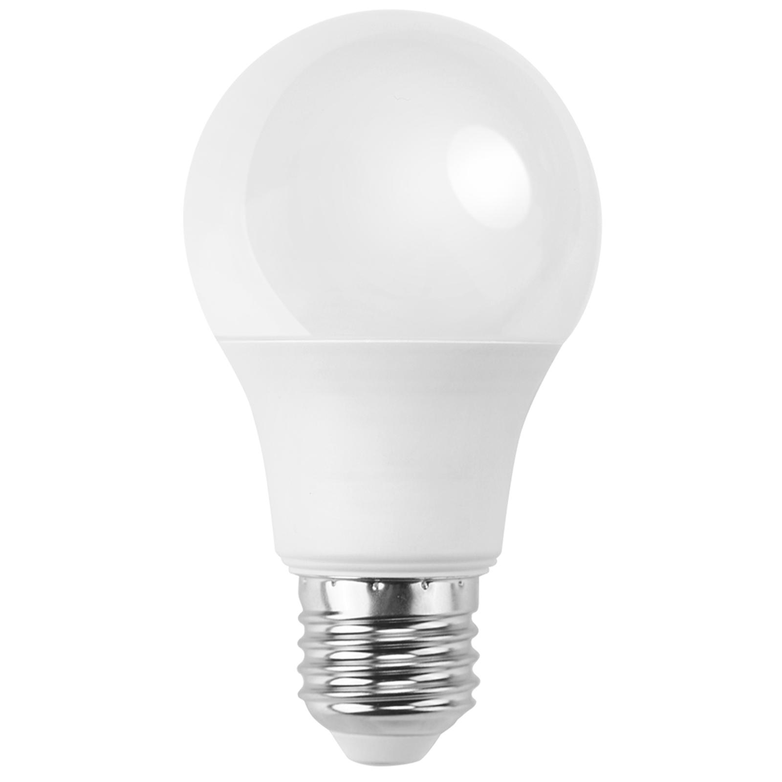 LED E27 6W A60 ( general bulb )