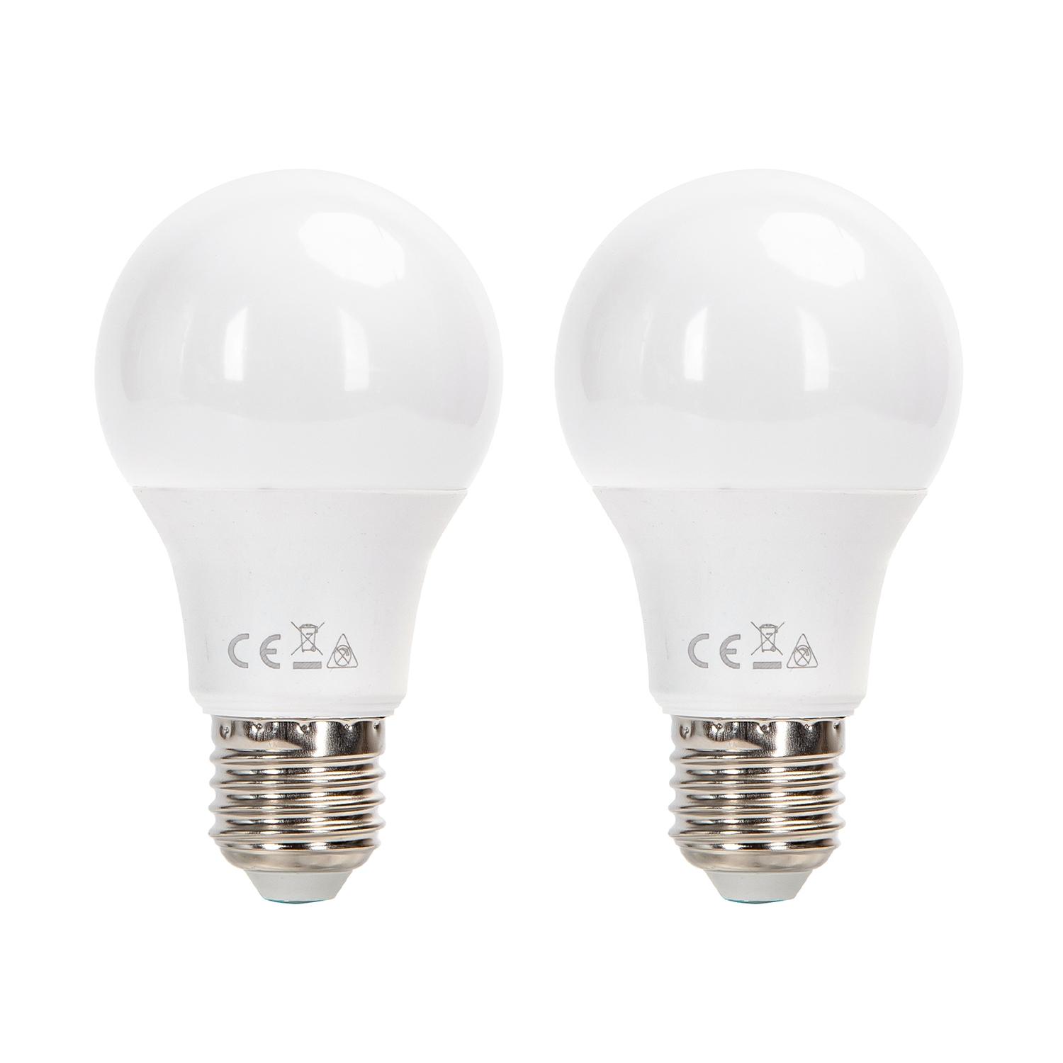 LED E27 6W A60 2pcs ( general bulb )