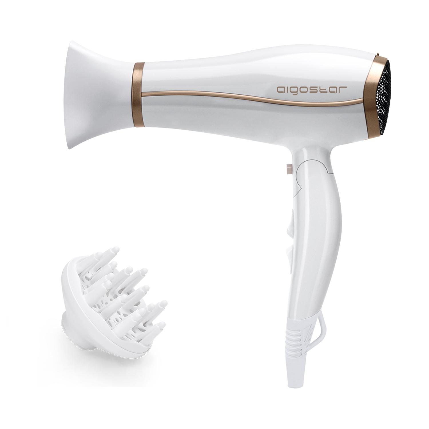 Ionic hair dryer