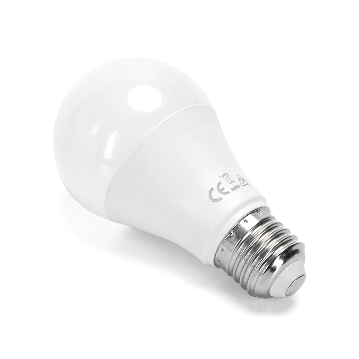 LED E27 12W A60 2pcs ( general bulb )