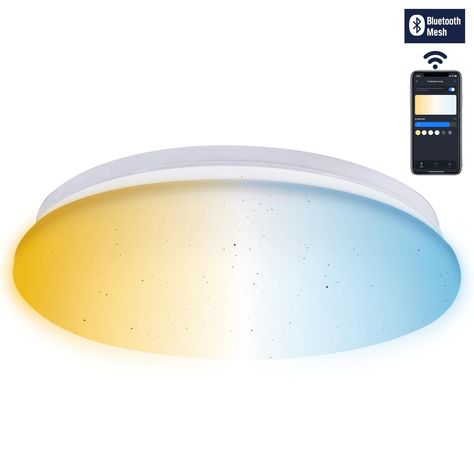 BLUETOOTH MESH LED CEILING LIGHT 12W