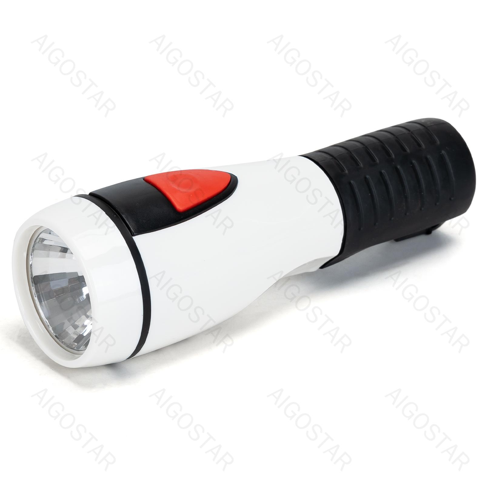 LED Torch 2*D