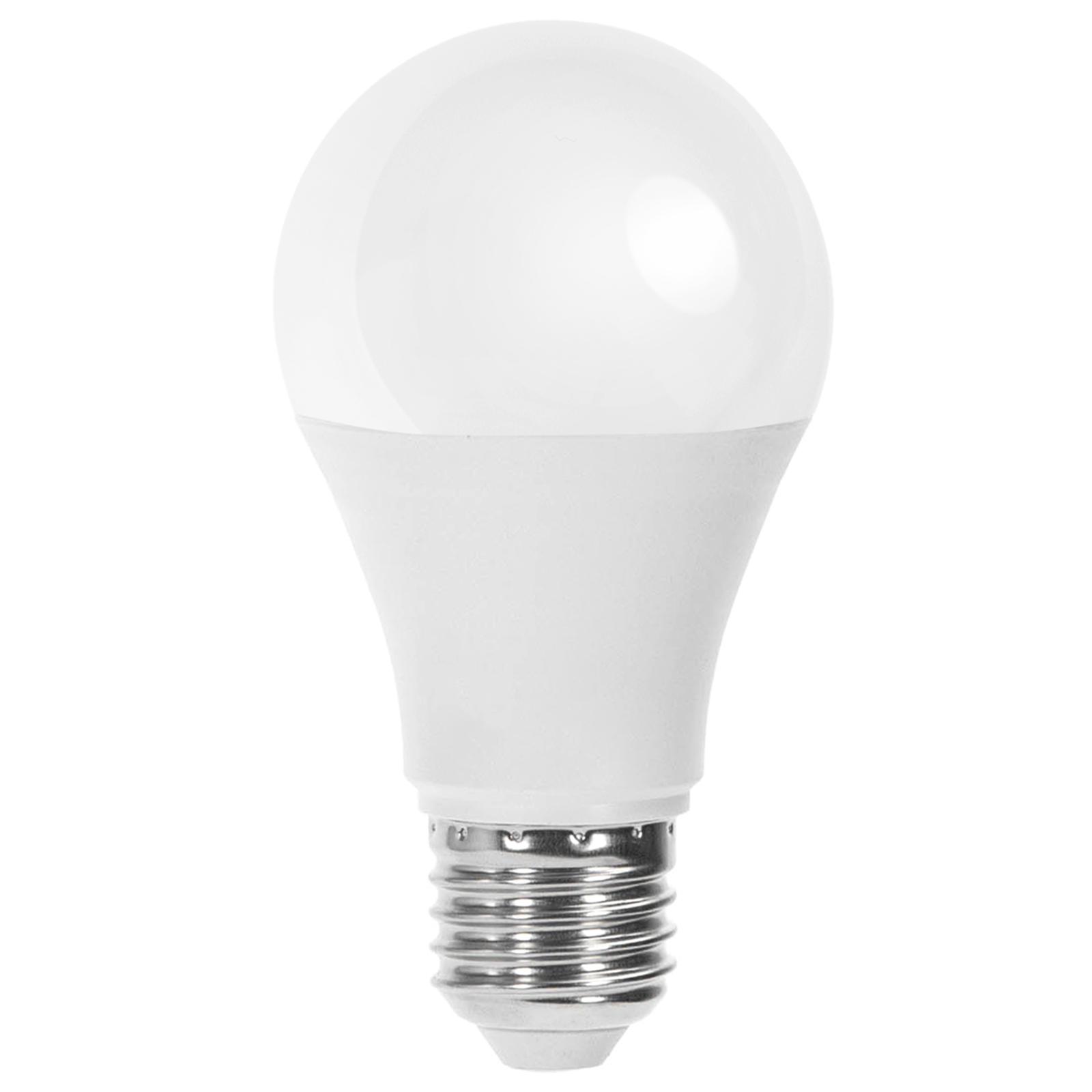 LED E27 12W A60 ( general bulb )