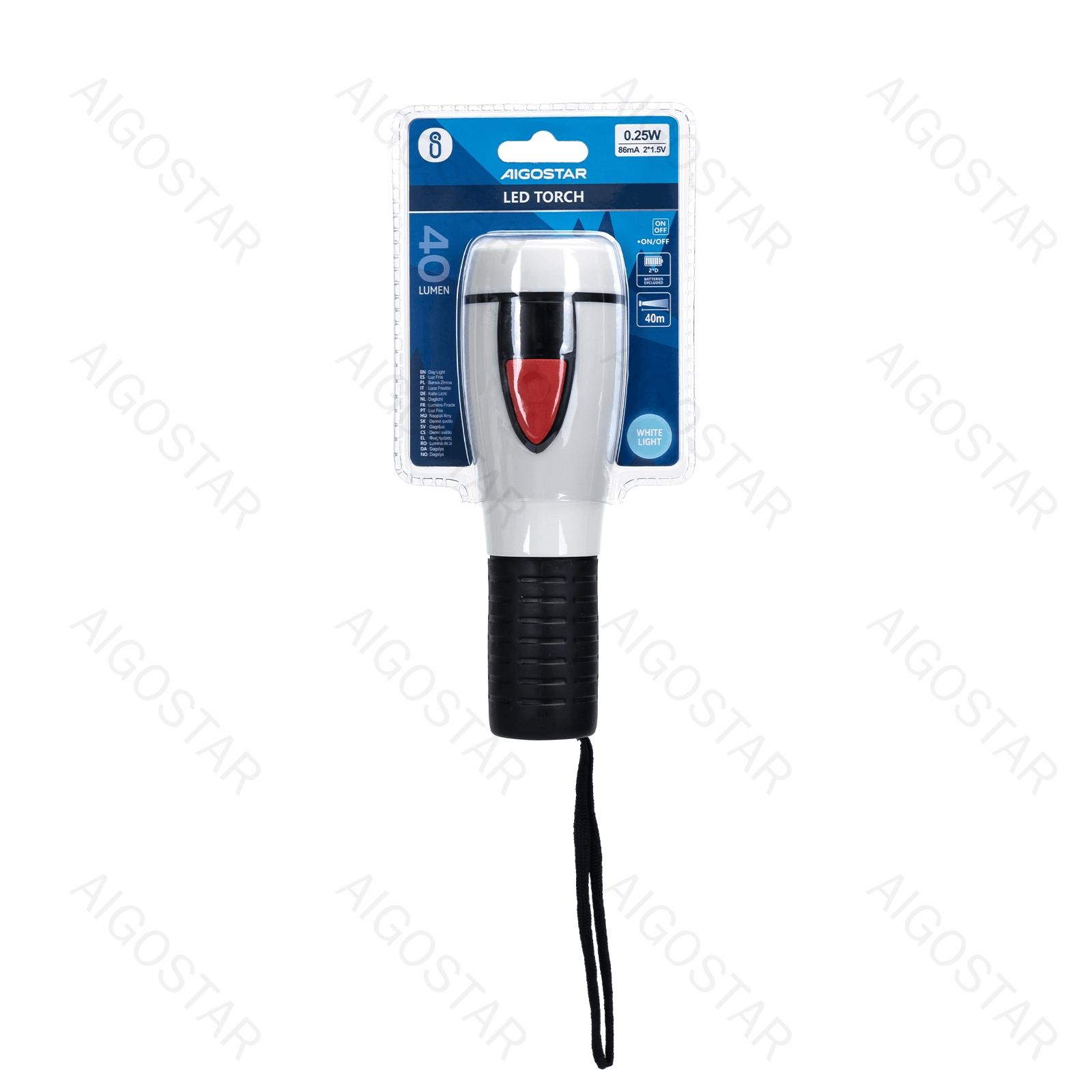 LED Torch 2*D