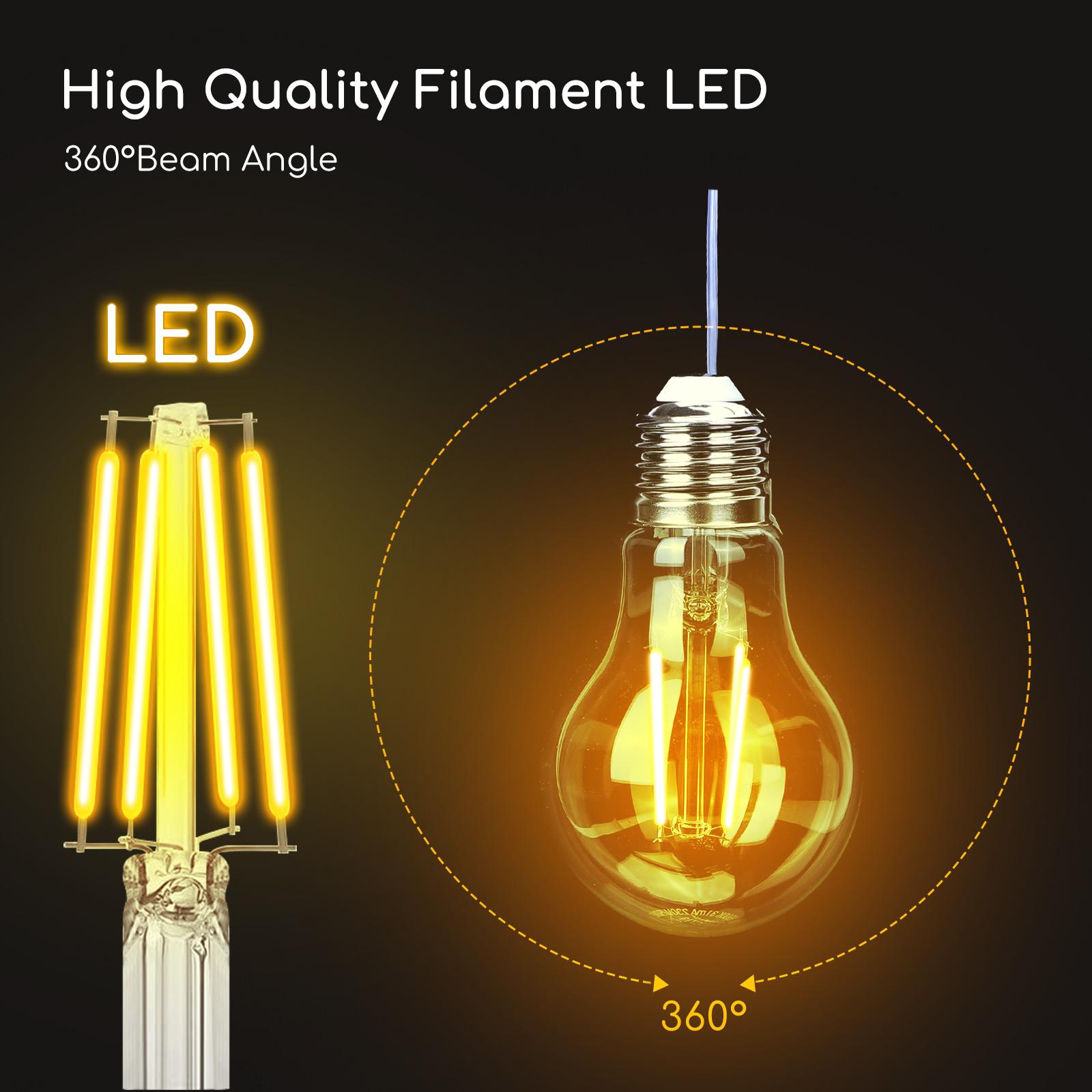 LED Filament Bulb (Clear) A60 E27 6W