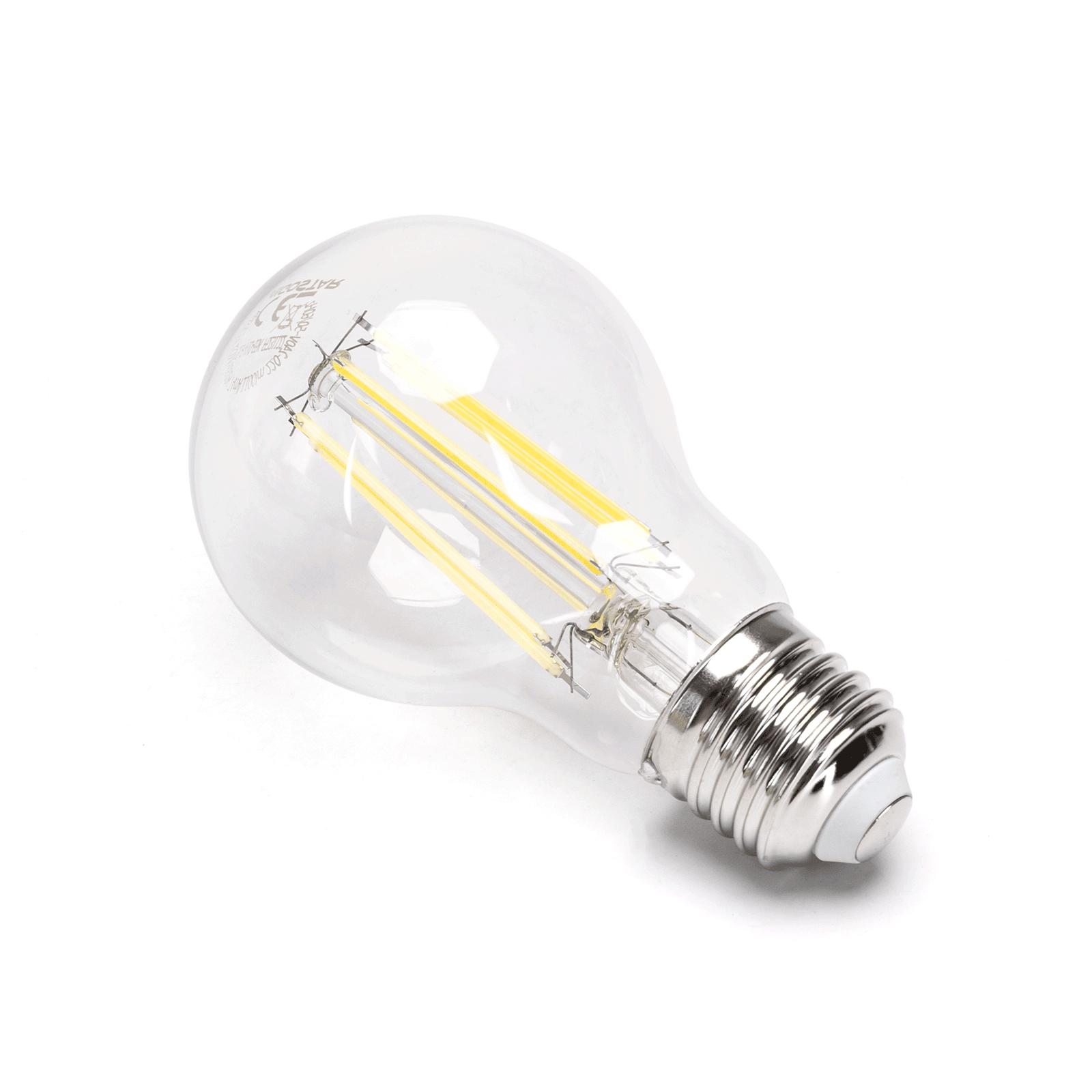 LED Filament Bulb (Clear) A60 E27 10W