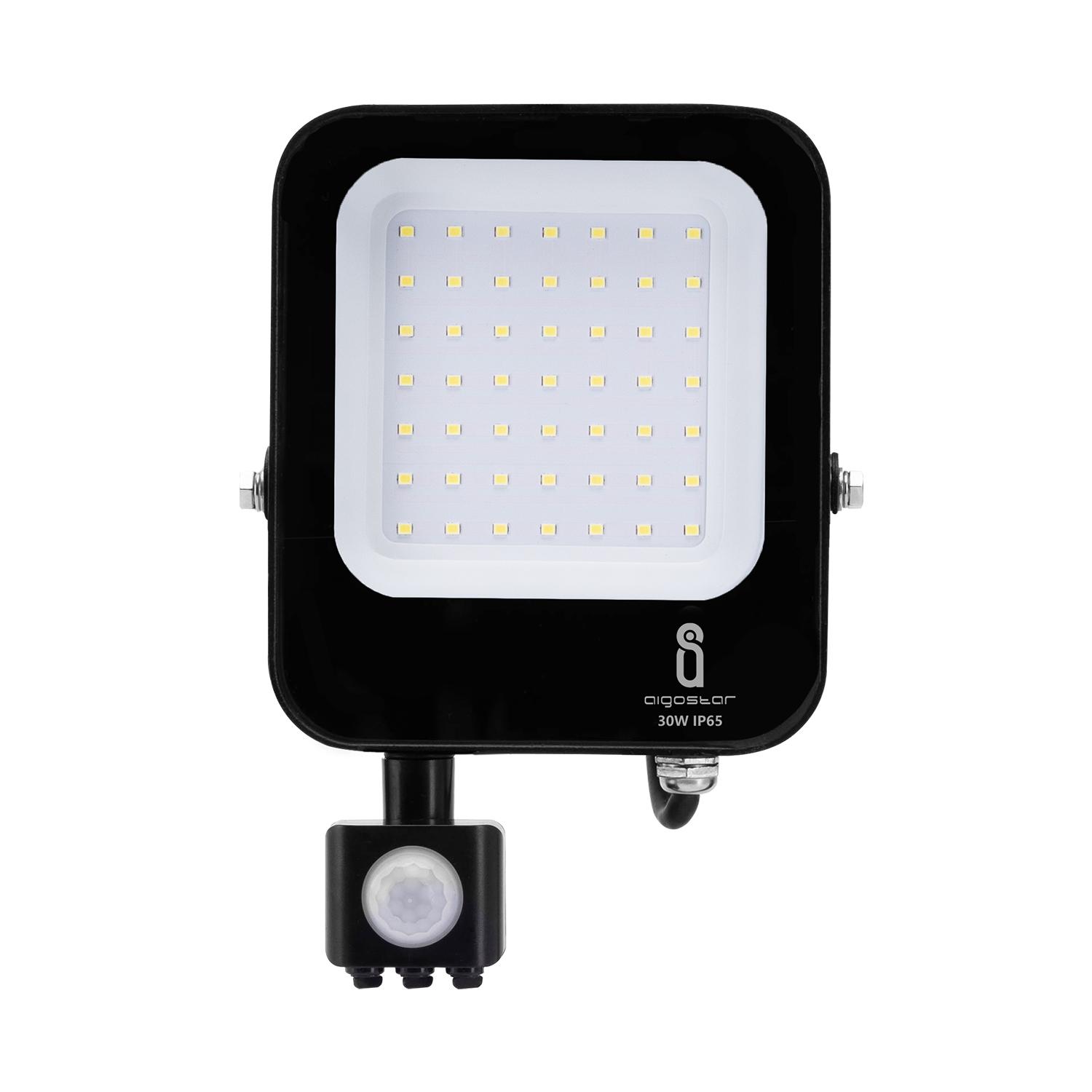 LED Naświetlacz z czujnikiem Czarny 30W(30W,6500K,IP65)