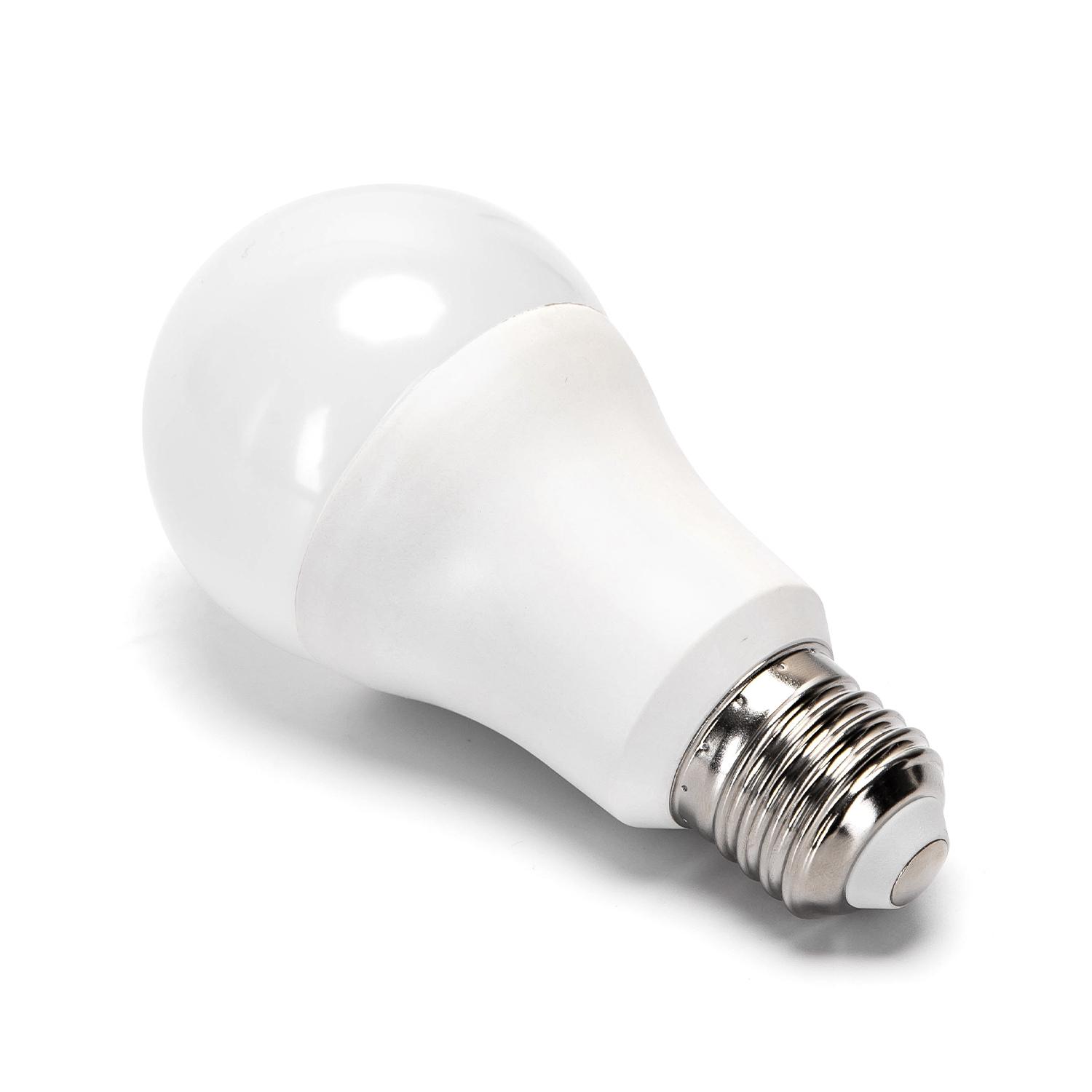 LED E27 21W A60 ( general bulb )