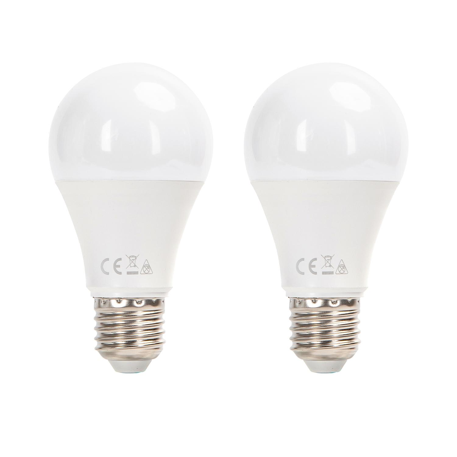 LED E27 11W A60 2pcs ( general bulb )