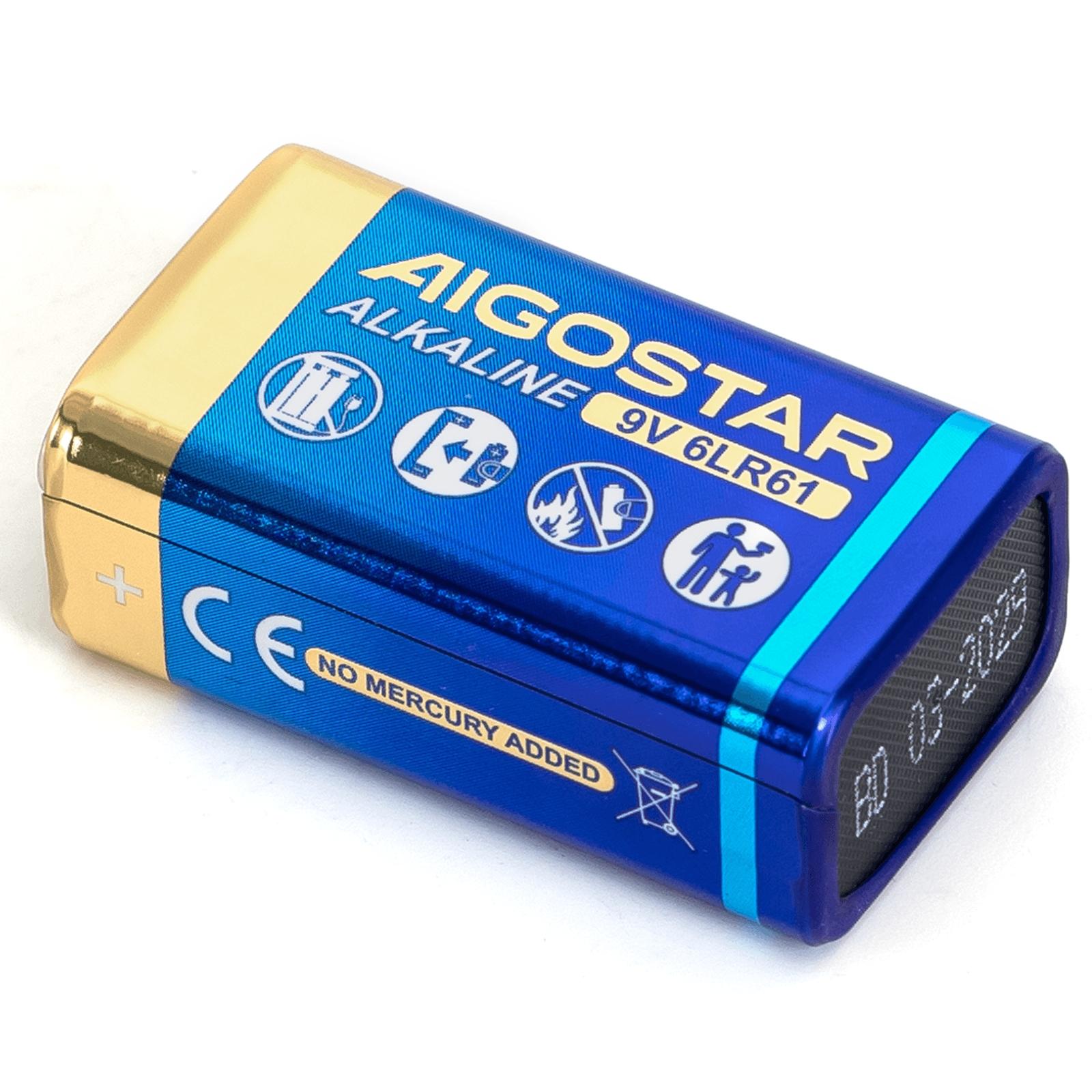 Alkaline battery 6LR61 9V-1B 9V