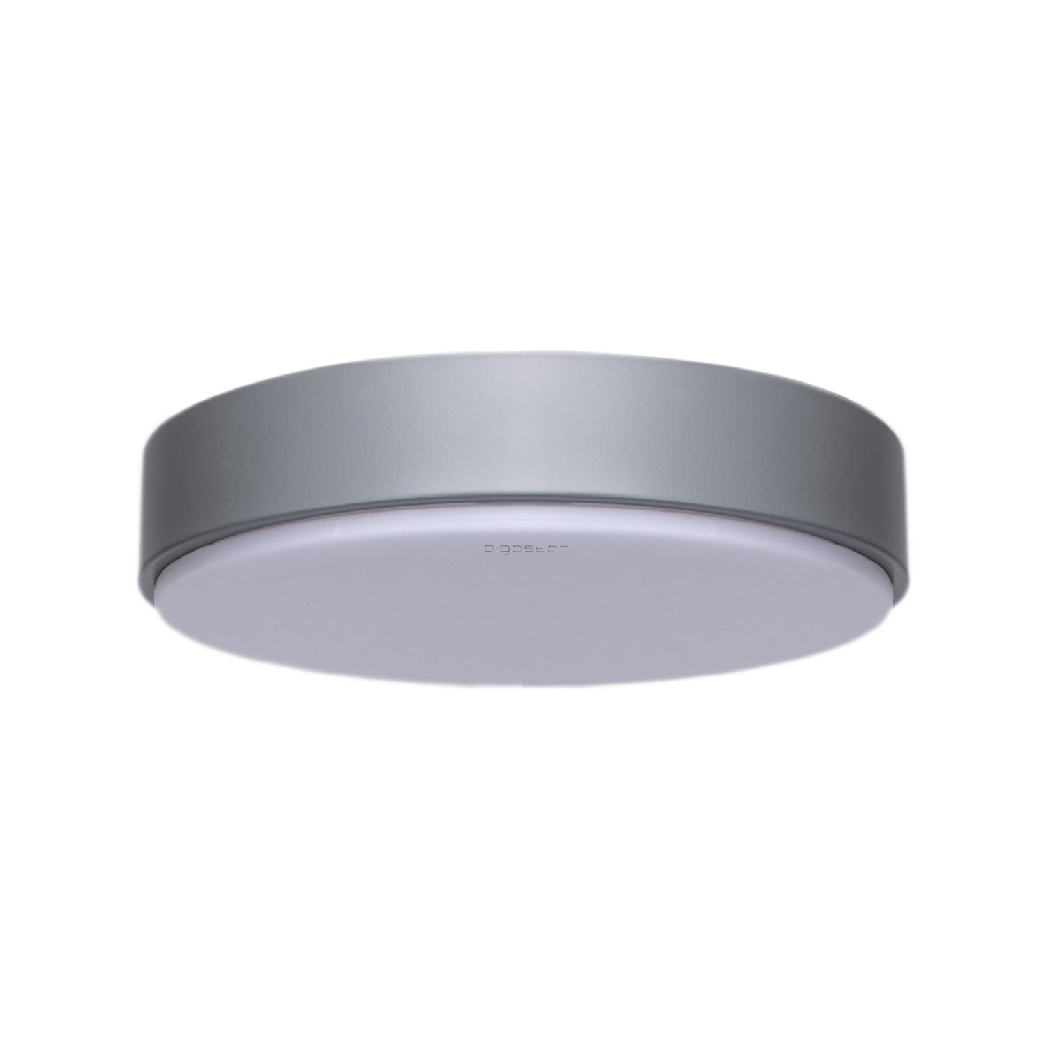 Ceiling Light 20W 3000K D300*H50 mm