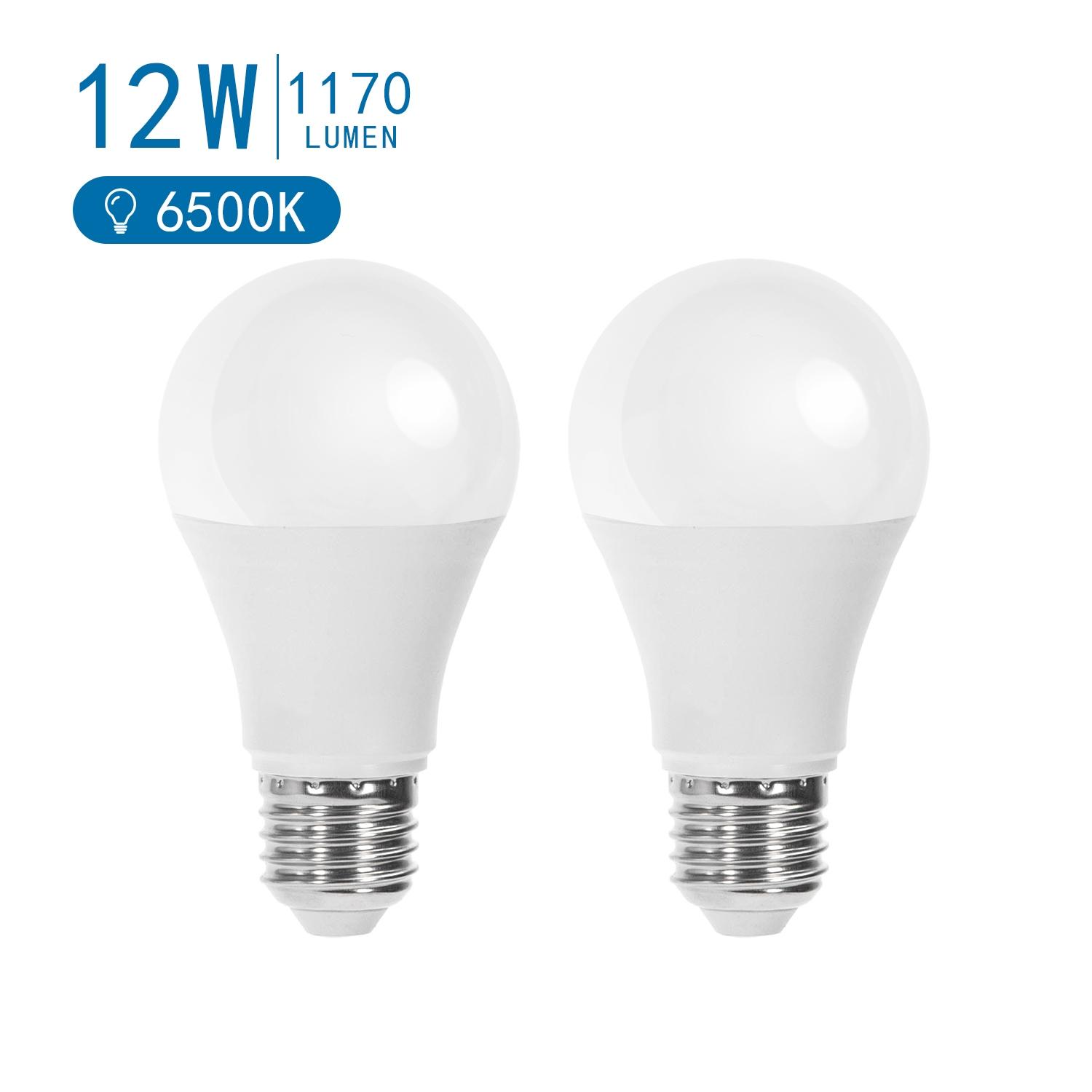 LED E27 12W A60 2pcs ( general bulb )