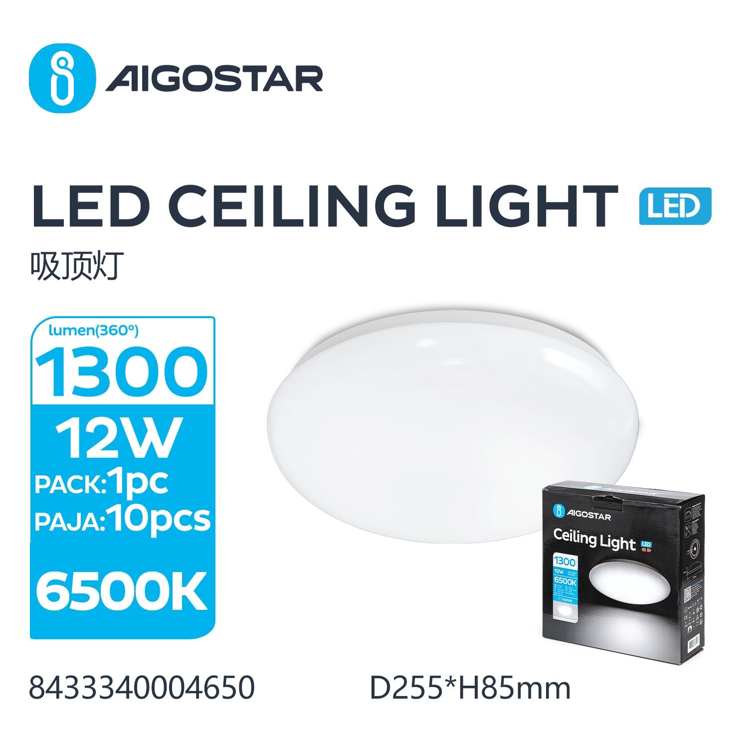 Ceiling Light 12W 6500K D255*H95 mm