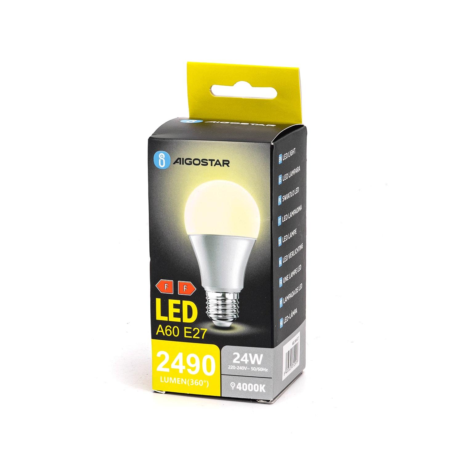 LED E27 A60 24W