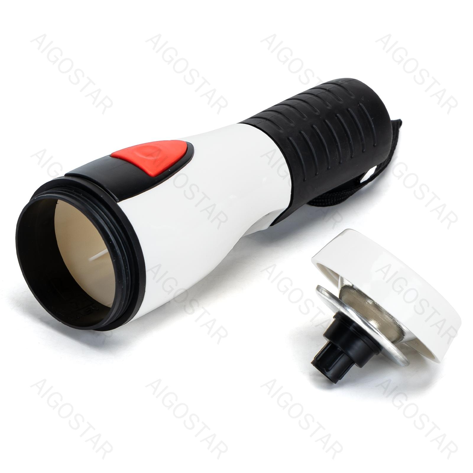 LED Torch 2*D