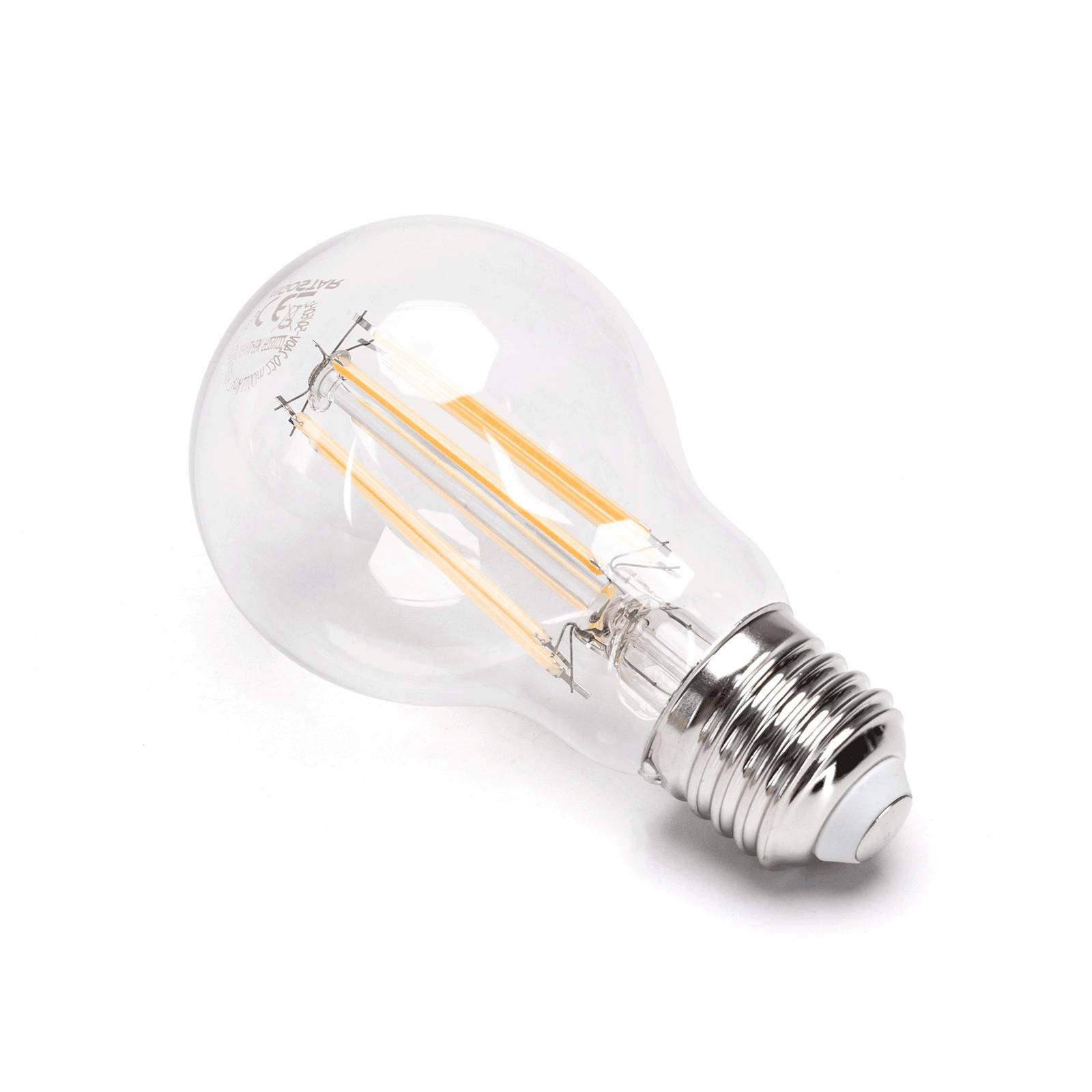 LED Filament Bulb (Clear) A60 E27 10W