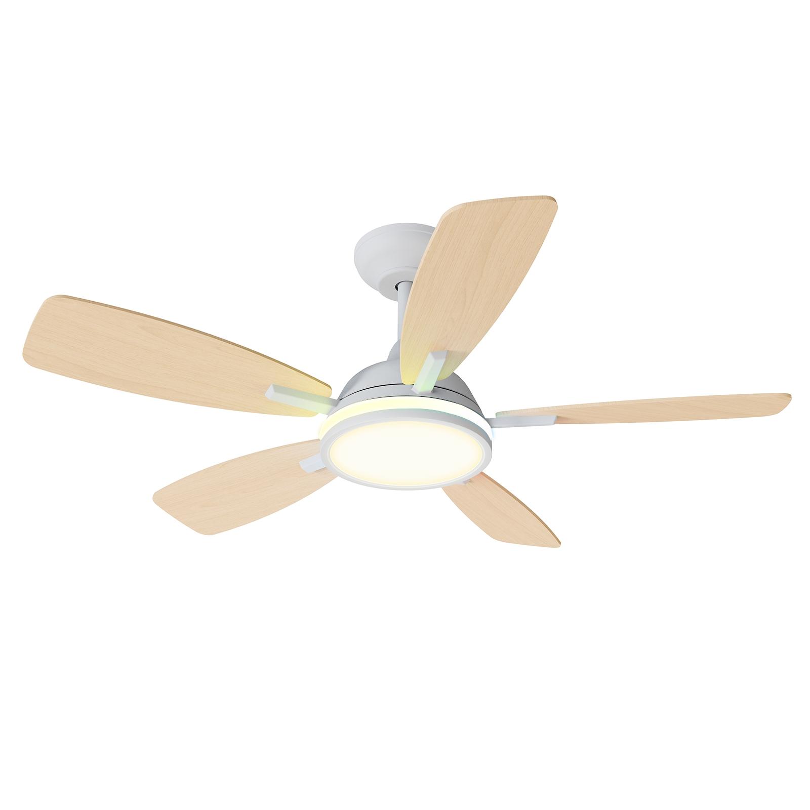 Bluetooth Mesh ceiling fan light CCT (3000-6500K) 52 inch 5-leaf 6-level white