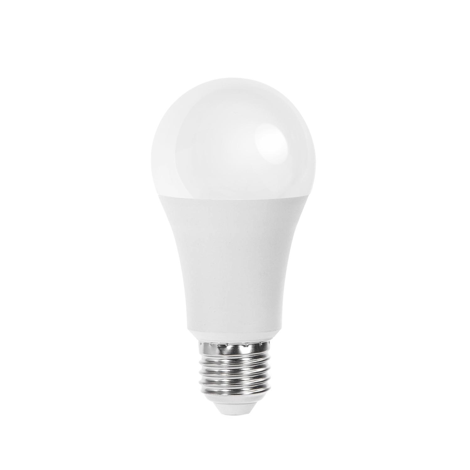 LED A60 E27 21W 6500k (21W,E27,6500K)