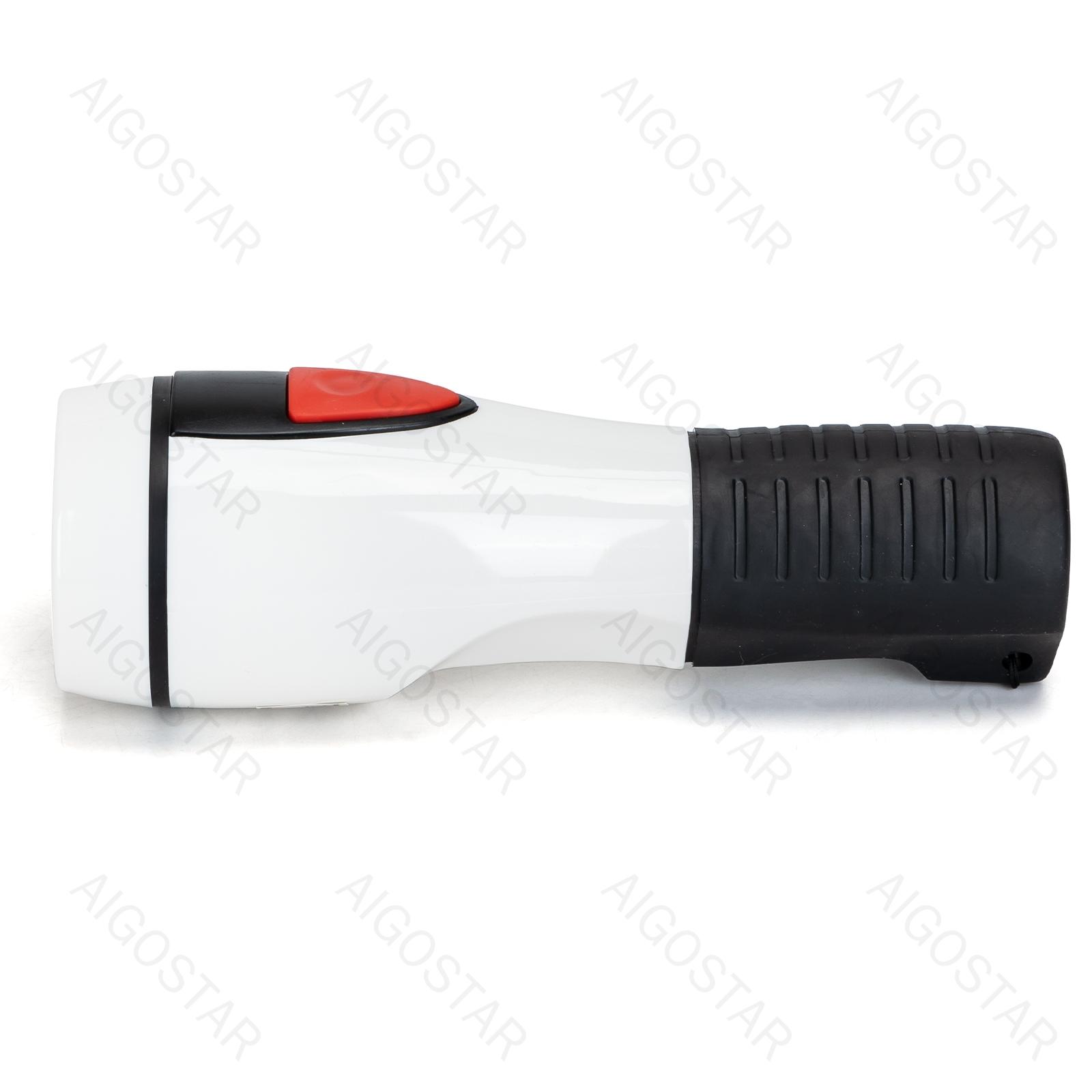 LED Torch 2*D